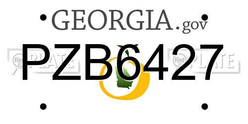PZB6427 Georgia License Plate
