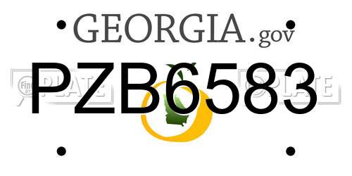 PZB6583 Georgia License Plate