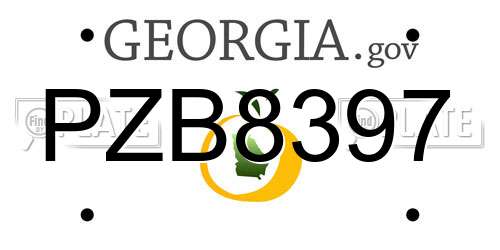 PZB8397 Georgia License Plate