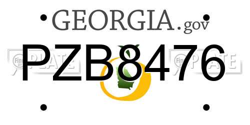 PZB8476 Georgia License Plate