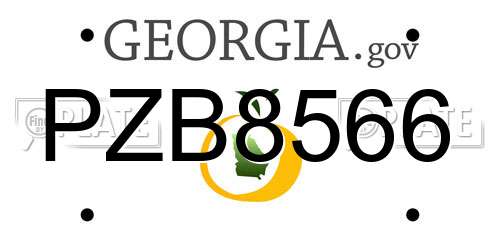 PZB8566 Georgia License Plate