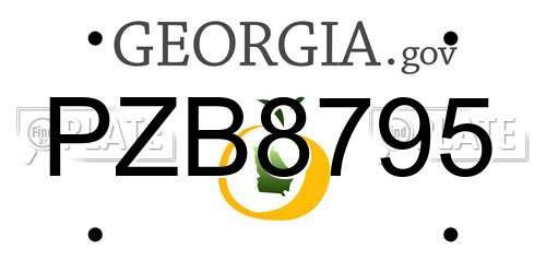 PZB8795 Georgia License Plate