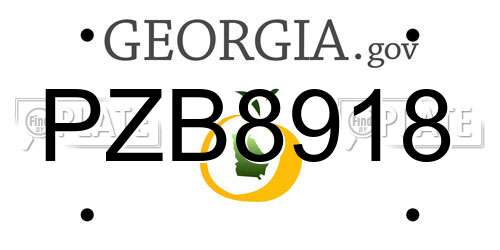 PZB8918 Georgia License Plate