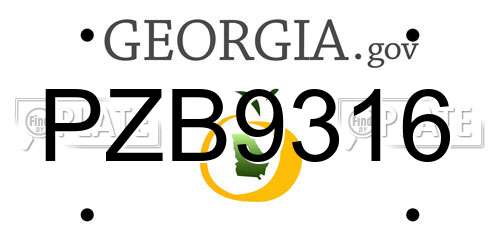 PZB9316 Georgia License Plate