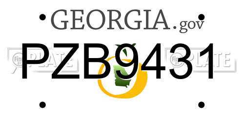 PZB9431 Georgia License Plate