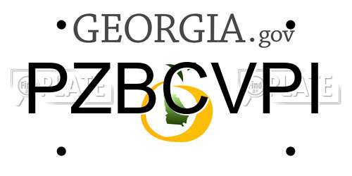 PZBCVPI Georgia License Plate