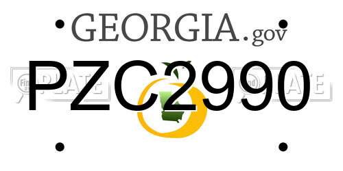 PZC2990 Georgia License Plate