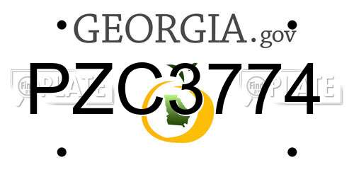 PZC3774 Georgia License Plate