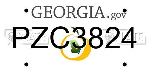 PZC3824 Georgia License Plate