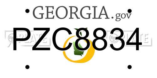 PZC8834 Georgia License Plate