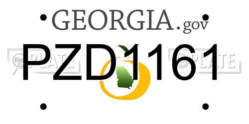 PZD1161 Georgia License Plate