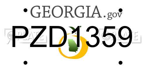 PZD1359 Georgia License Plate