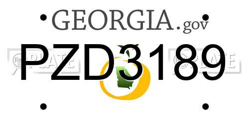 PZD3189 Georgia License Plate