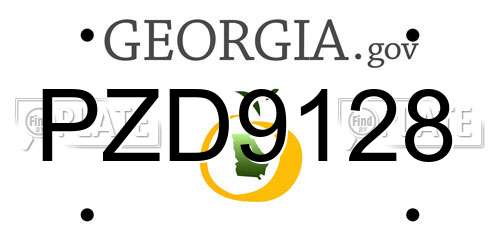 PZD9128 Georgia License Plate