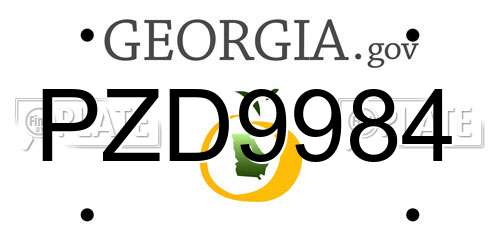 PZD9984 Georgia License Plate