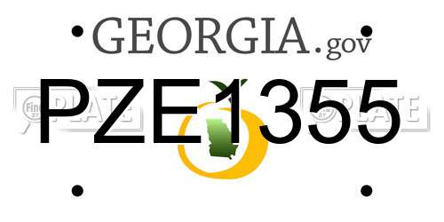 PZE1355 Georgia License Plate