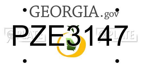 PZE3147 Georgia License Plate