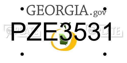 PZE3531 Georgia License Plate