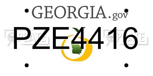 PZE4416 Georgia License Plate