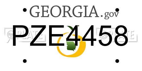 PZE4458 Georgia License Plate