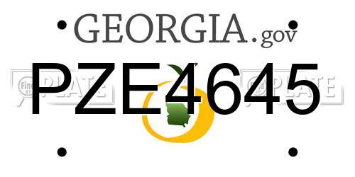 PZE4645 Georgia License Plate