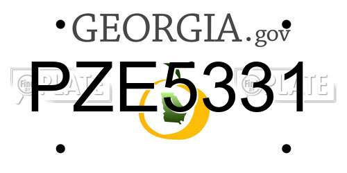 PZE5331 Georgia License Plate