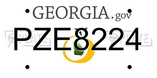 PZE8224 Georgia License Plate