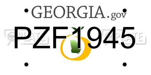 PZF1945 Georgia License Plate