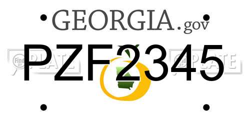 PZF2345 Georgia License Plate