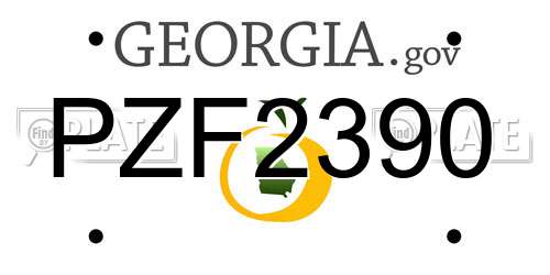 PZF2390 Georgia License Plate
