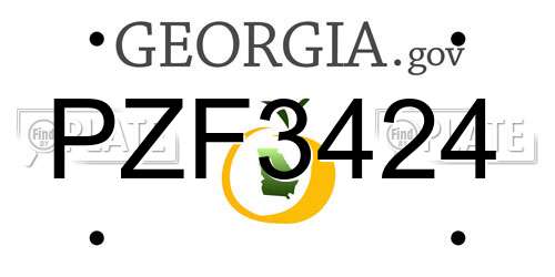 PZF3424 Georgia License Plate