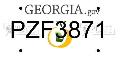 PZF3871 Georgia License Plate