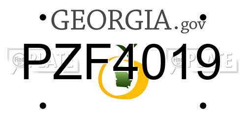 PZF4019 Georgia License Plate