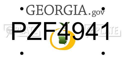 PZF4941 Georgia License Plate