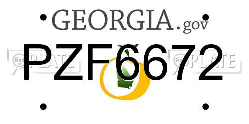 PZF6672 Georgia License Plate