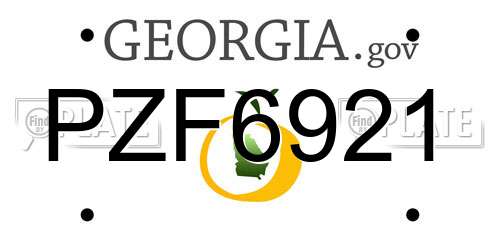 PZF6921 Georgia License Plate