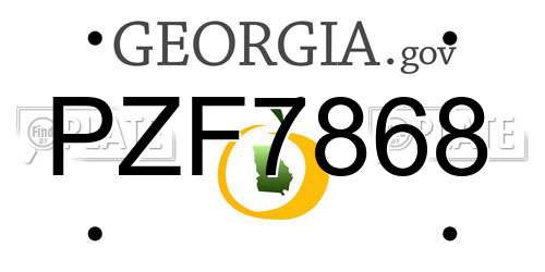 PZF7868 Georgia License Plate