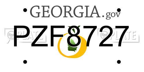 PZF8727 Georgia License Plate