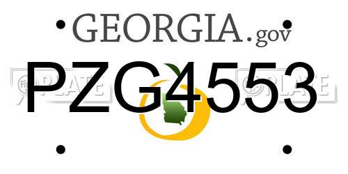 PZG4553 Georgia License Plate