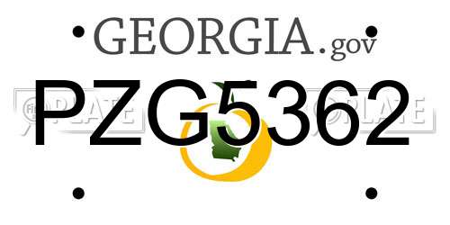 PZG5362 Georgia License Plate