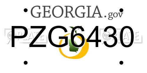 PZG6430 Georgia License Plate