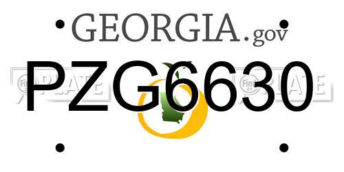 PZG6630 Georgia License Plate