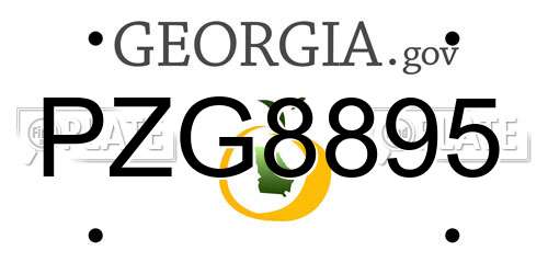 PZG8895 Georgia License Plate