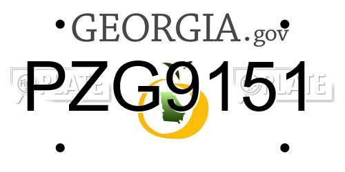 PZG9151 Georgia License Plate