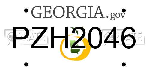 PZH2046 Georgia License Plate