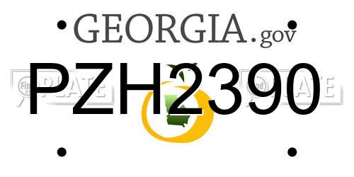 PZH2390 Georgia License Plate