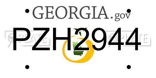 PZH2944 Georgia License Plate