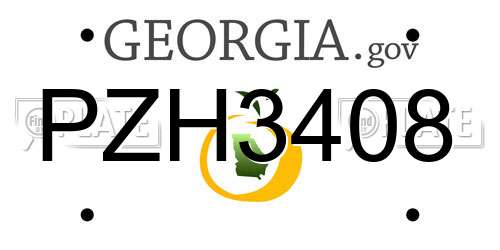 PZH3408 Georgia License Plate