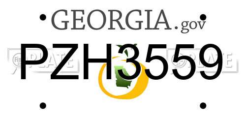 PZH3559 Georgia License Plate