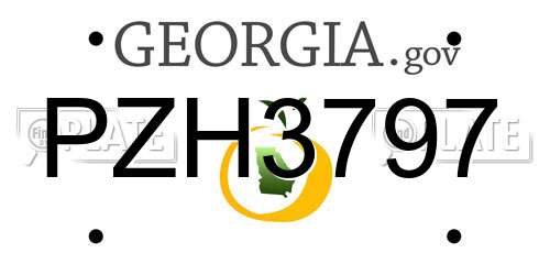 PZH3797 Georgia License Plate